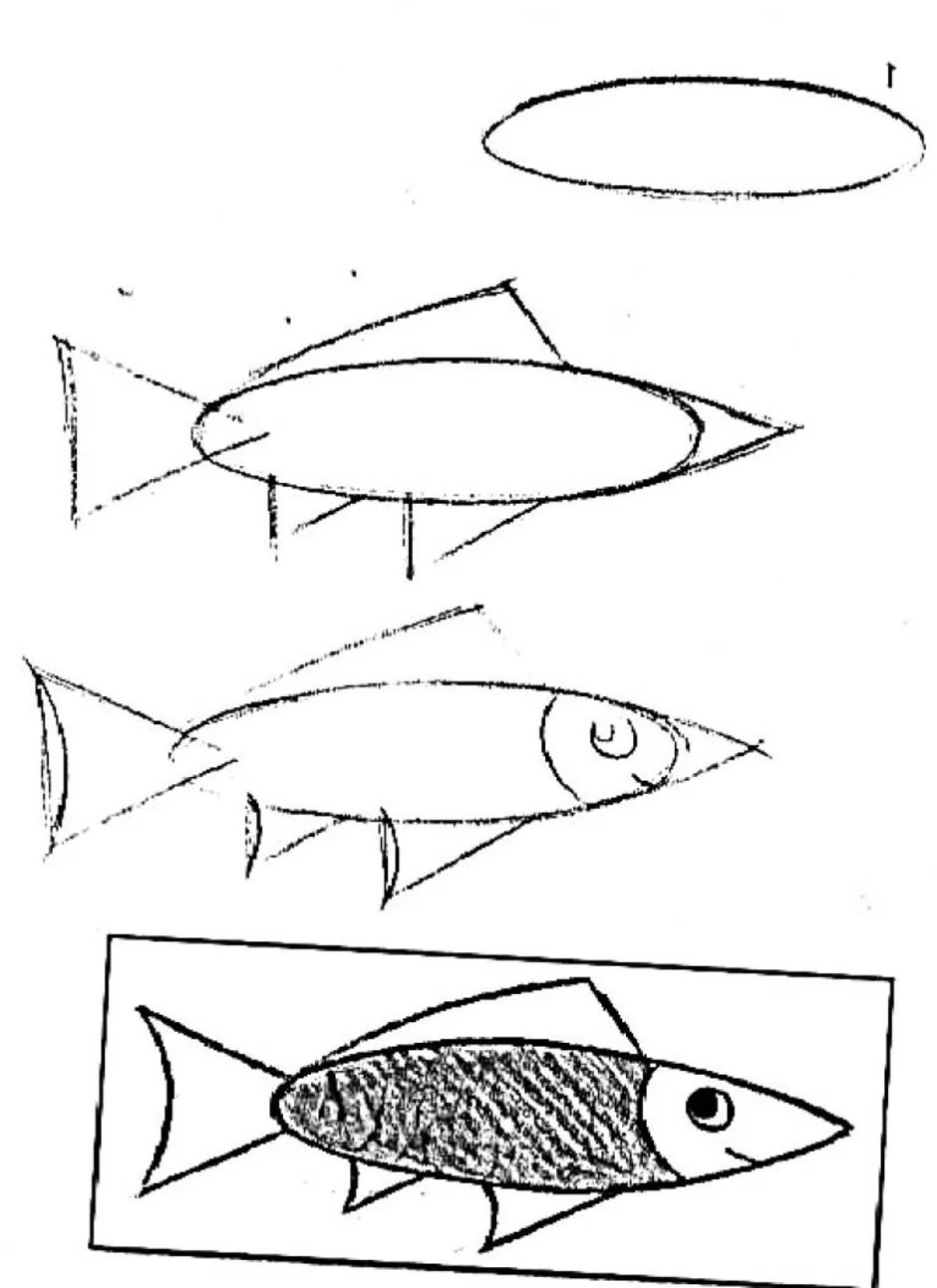 Рыба пошагово. Схема рисования рыбы. Поэтапное рисование щуки. Рисование рыбы поэтапно. Схемы рисования рыб разной формы.