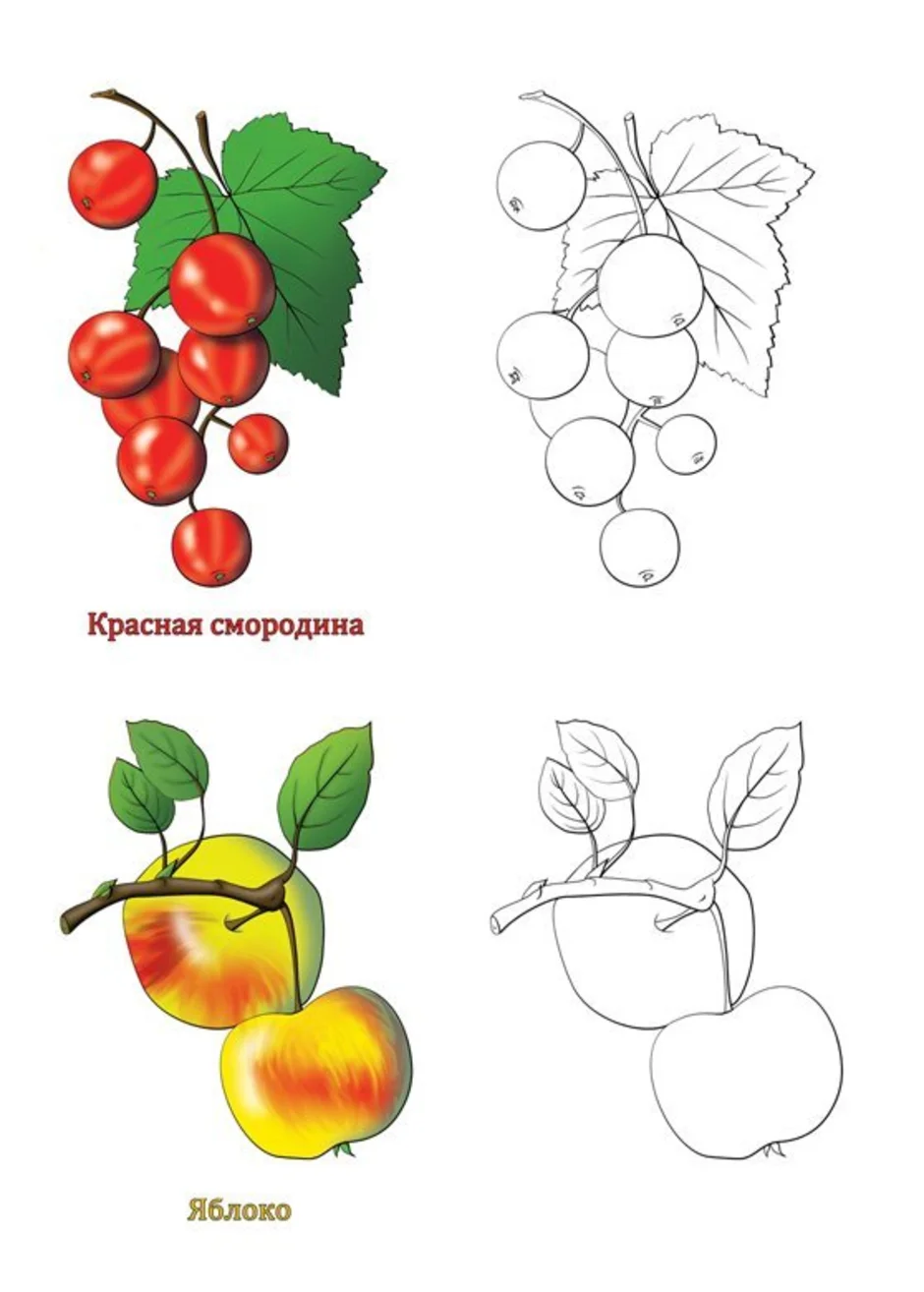 Рисуем ягоды с детьми