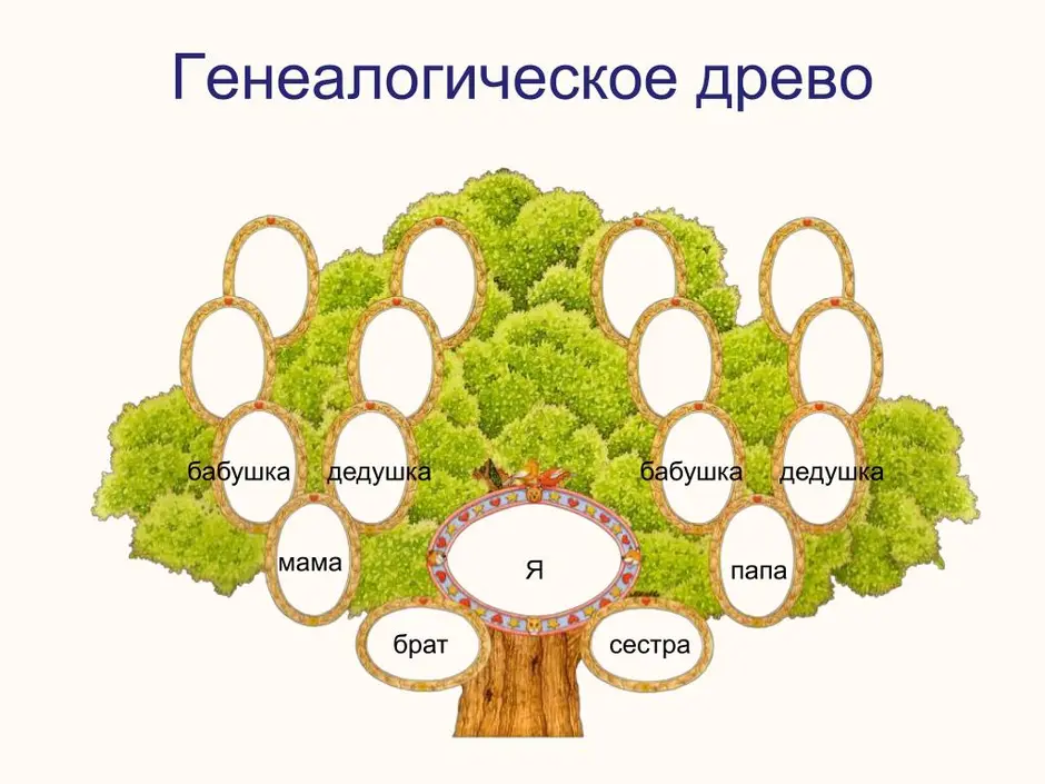 Как составить древо жизни моей семьи простая схема