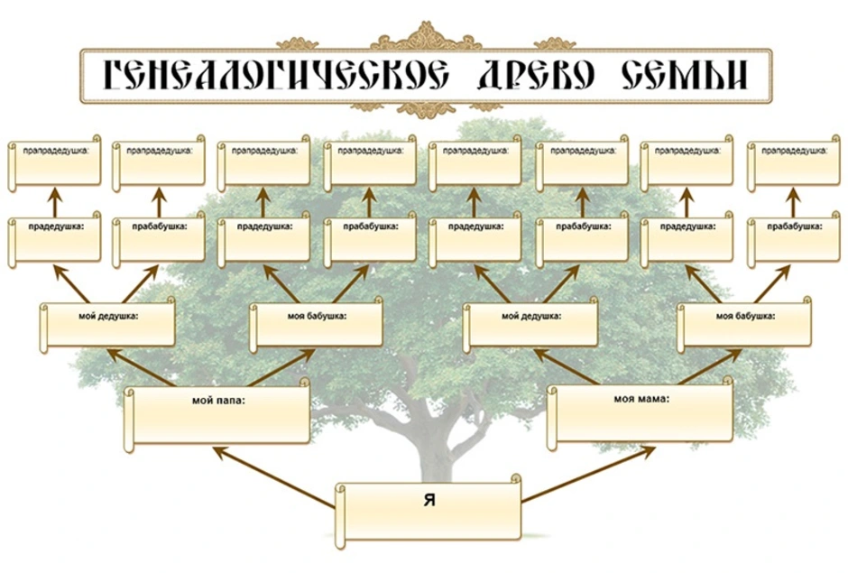 Нарисовать родословную онлайн