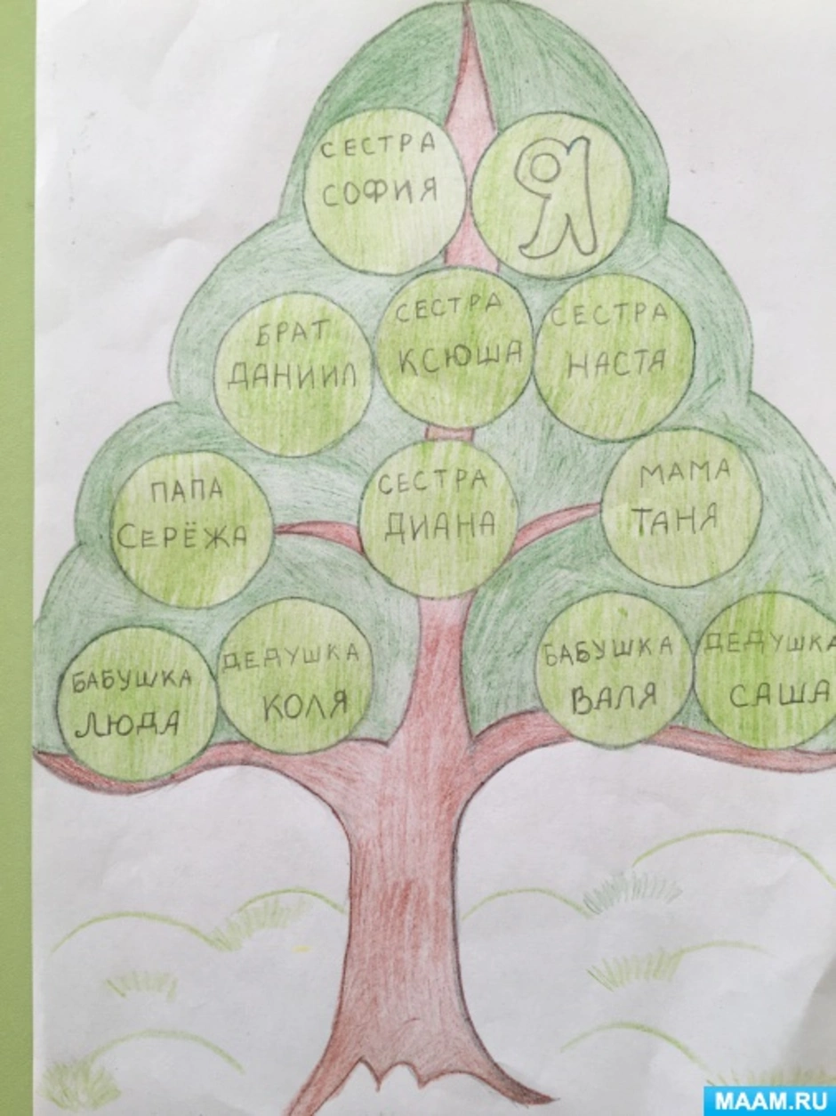 Древо семьи по окружающему миру. Родословное дерево семьи. Генеалогическое дерево рисунок. Рисование генеалогического дерева. Семейное дерево рисунок.