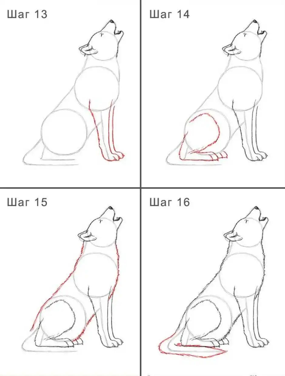 Волк поэтапно для детей. Схема рисования волка. Уроки рисования волка. Поэтапное рисование волка. Нарисовать волка пошагово.