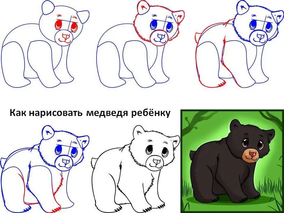 Поэтапное рисование трех медведей