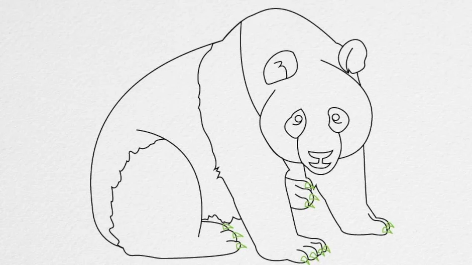 Рисунок медведя для срисовки для детей