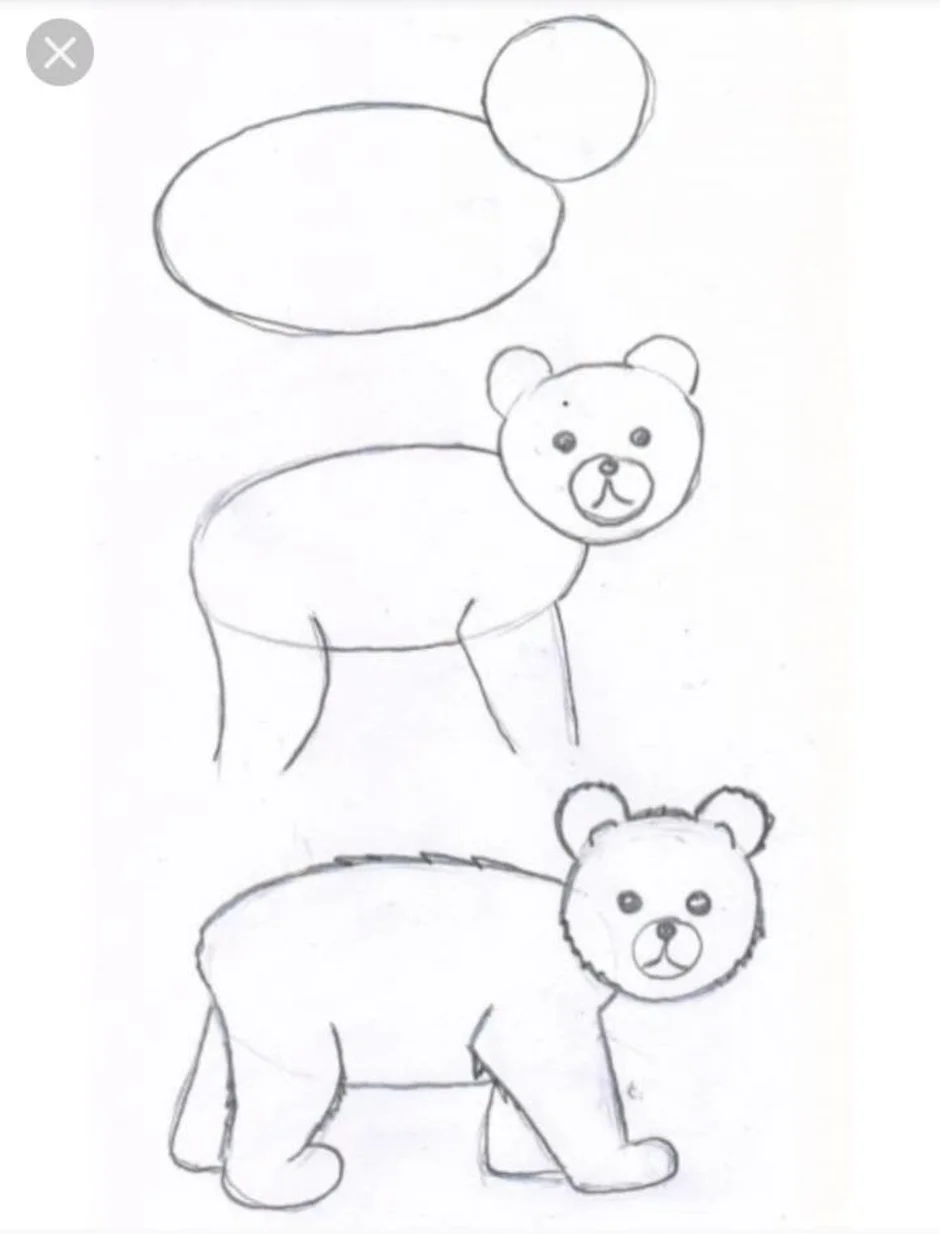 Бурый медведь рисунок для детей поэтапно