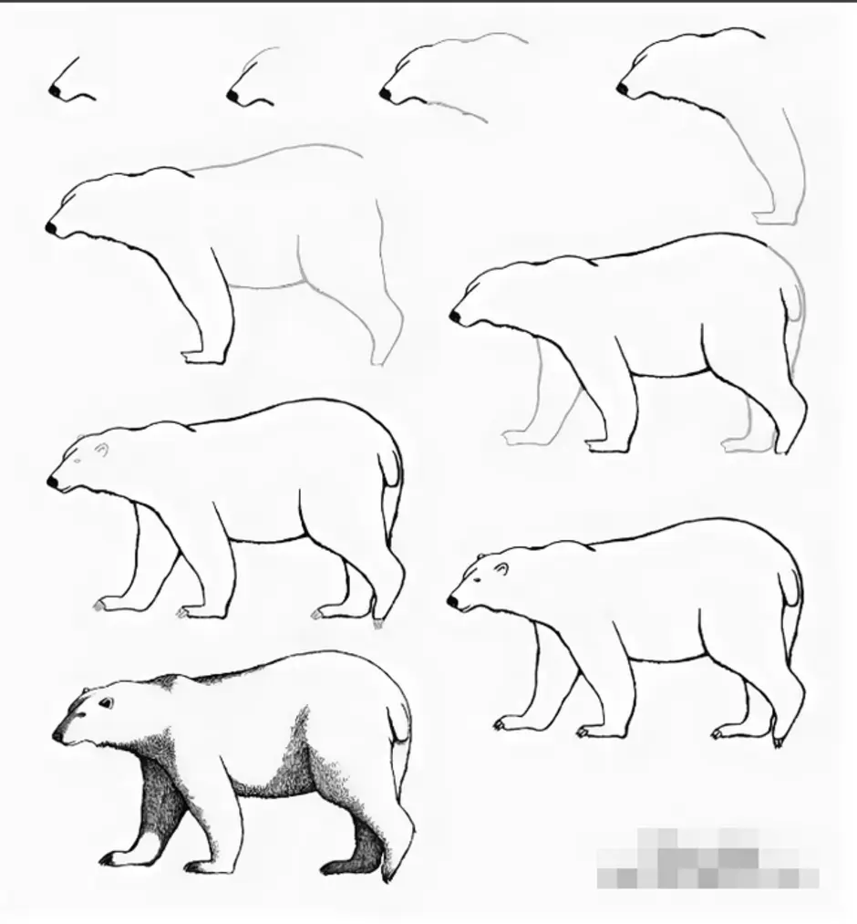 Рисуем белого медведя поэтапно