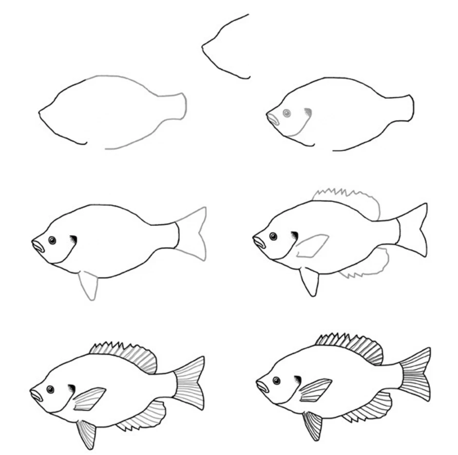 Поэтапное рисование рыбы. Этапы рисования рыбки. Рисование рыбы поэтапно для детей. Рыбка рисунок. Нарисовать рисунок рыбу