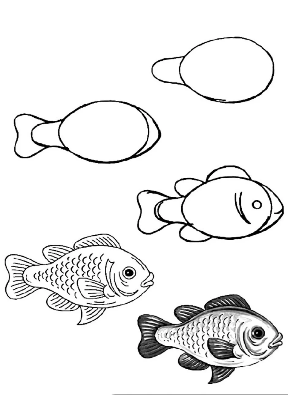 Нарисовать рыбку картинки. Рисование рыбки. Рисунок рыбы для срисовки. Поэтапное рисование рыбки. Рыбка карандашом.