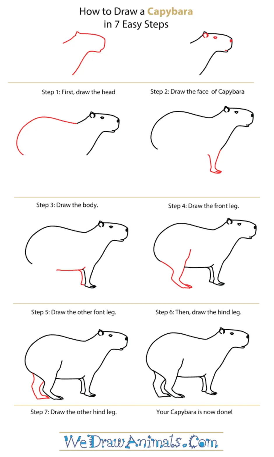 Капибара рисовать поэтапно