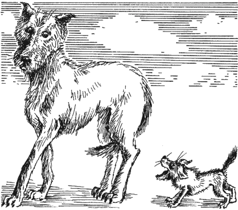 Рисунок жульки из рассказа барбос и жулька. Куприн Барбос и Жулька. Барбос Куприн. Иллюстрация к произведению Барбос и Жулька Куприн. Иллюстрации к рассказу Куприна Барбос и Жулька.