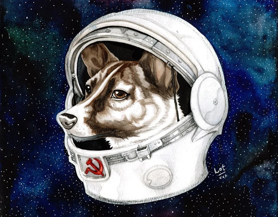 Space dogs. Собака в скафандре. Собаки космонавты. Космические собаки. Звери в космосе.