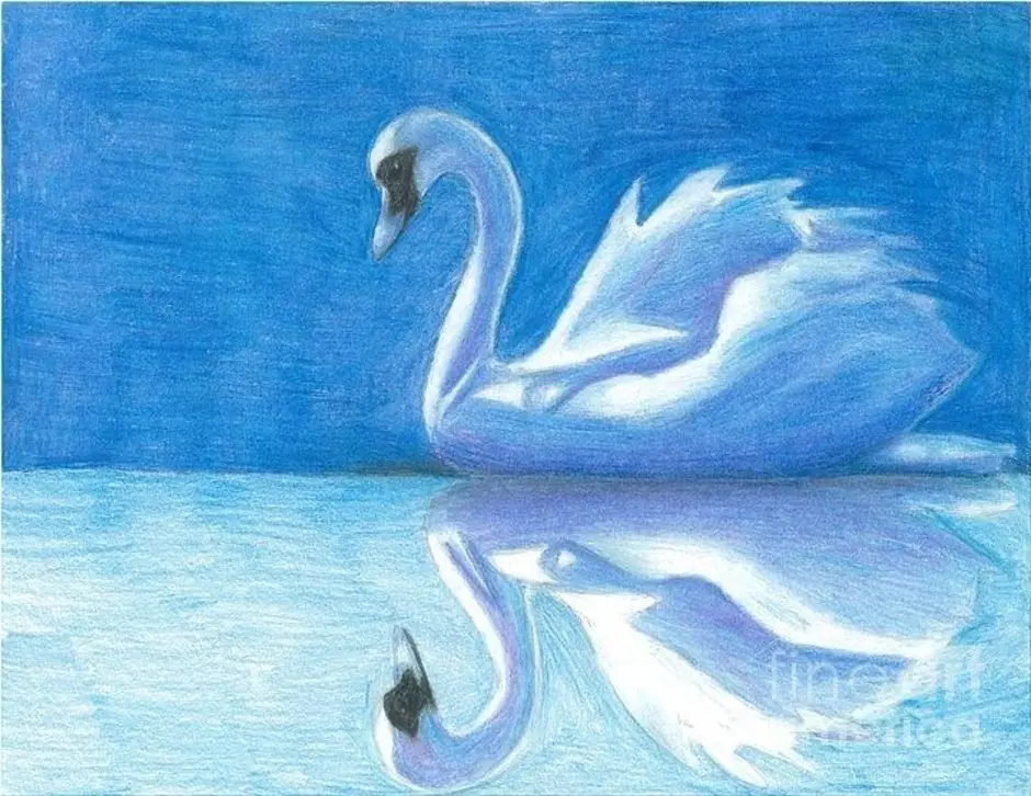 Чайковский лебединое озеро лебедь. Лебедь рисунок. Рисование лебедя. Рисунок лебедя для срисовки. Лебедь карандашом.