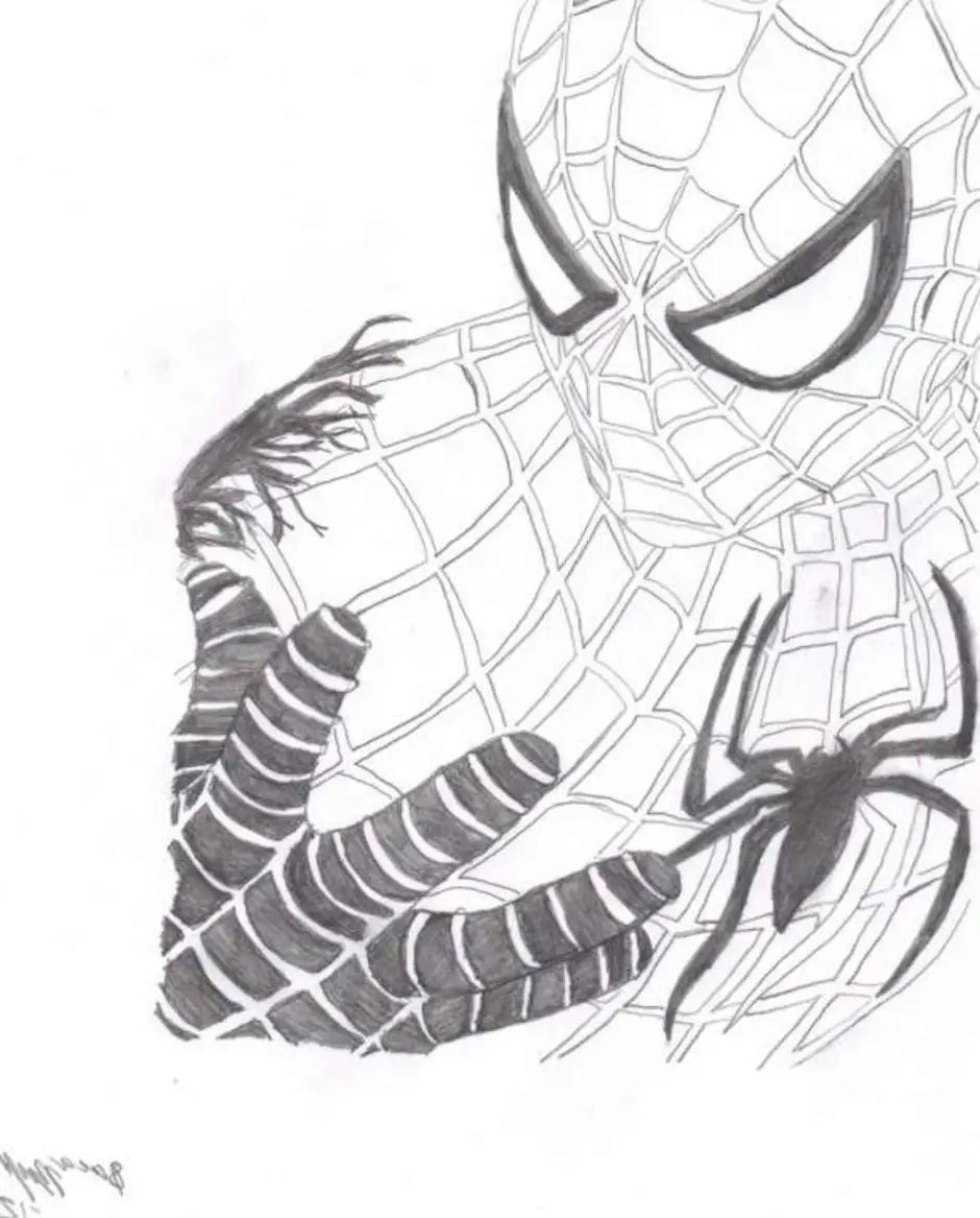 Человек паук нарисовать карандашом. Человек паук для срисовки. Человек паук рисунок. Человек паук рисунок для срисовки. Человек паук рисунок карандашом.