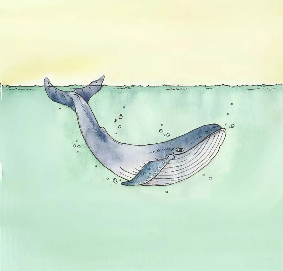 Рисунок кита