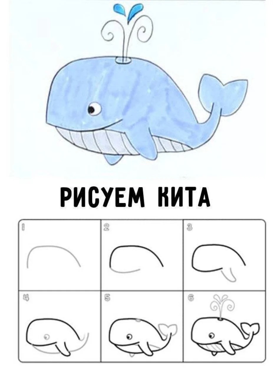 Рисуем кита