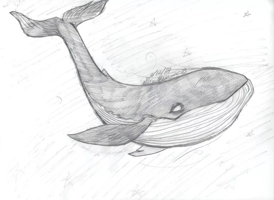 Рисунки для срисовки кит