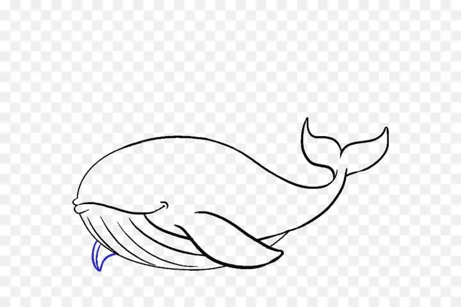 Раскраска для детей кит