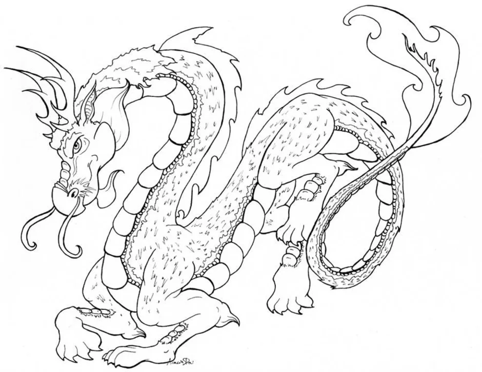 Китайский дракон для срисовки