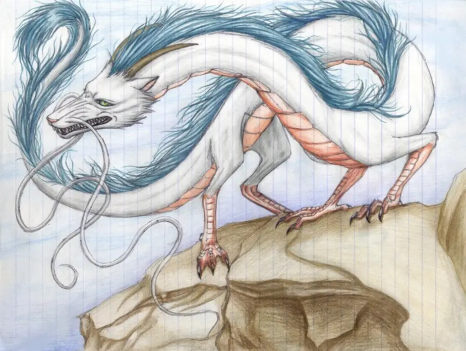 Китайский белый дракон хаку