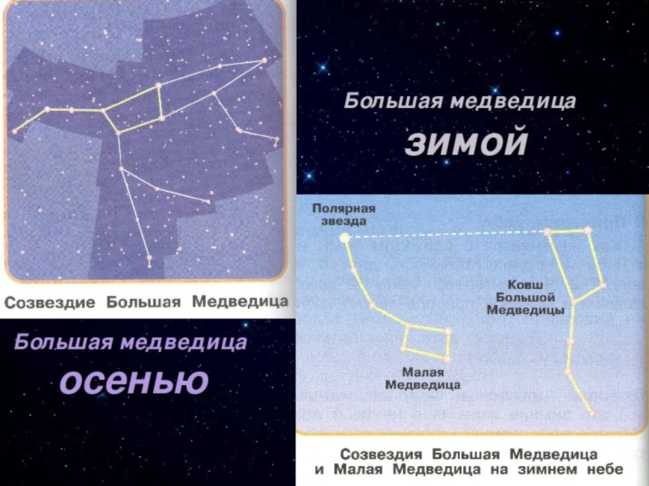 Картинка большой медведицы по временам года