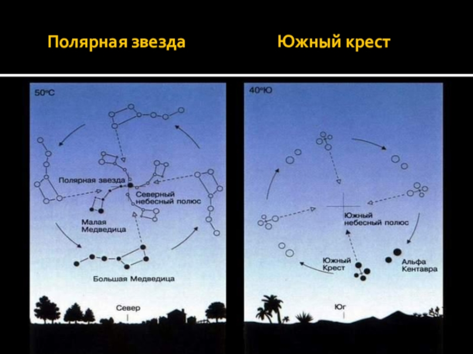 Ковш большой медведицы осенью зимой весной и летом рисунок 1 класс