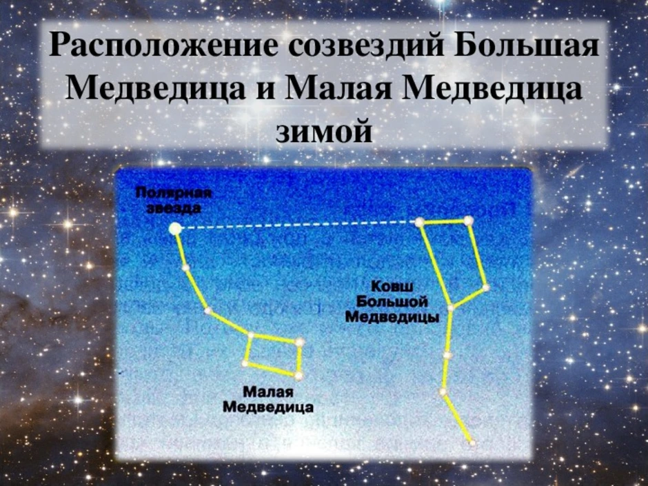 Схема этажей большая медведица