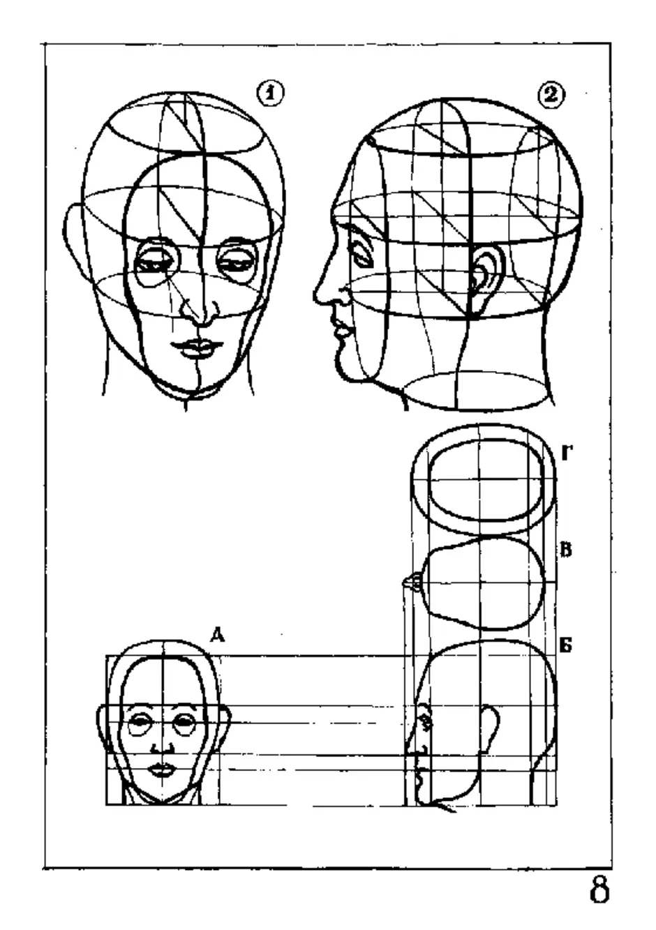 Рисунок головы человека пропорции головы