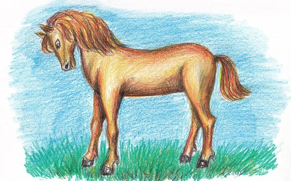 Произведения про лошадей. Лошадь рисунок. Лошадка цветными карандашами для детей. Детские рисунки лошадей. Конь рисунок детский.