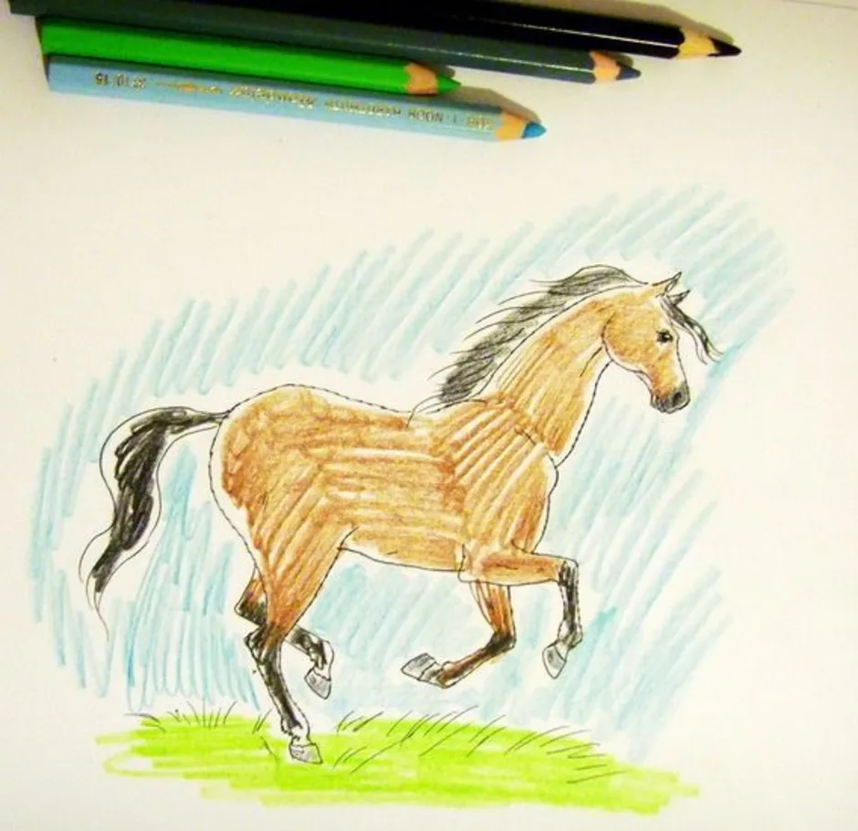 Лошадка 5 класс. Лошадь карандашом. Лошадь рисунок карандашом. Лошадка цветными карандашами для детей. Лошадка карандашами цветными.