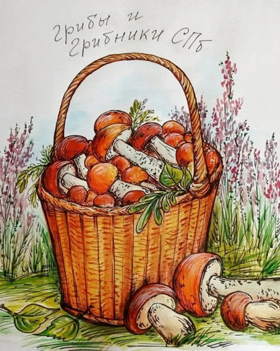 Рисунки корзина с грибами