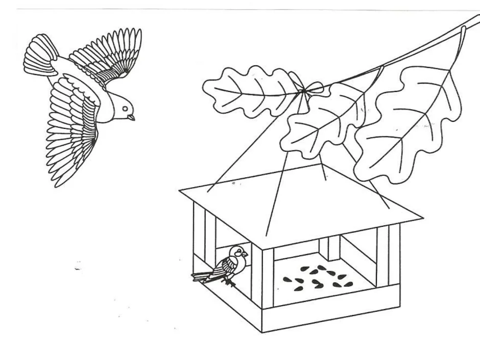 Нарисовать кормушку для птиц 1 класс окружающий мир