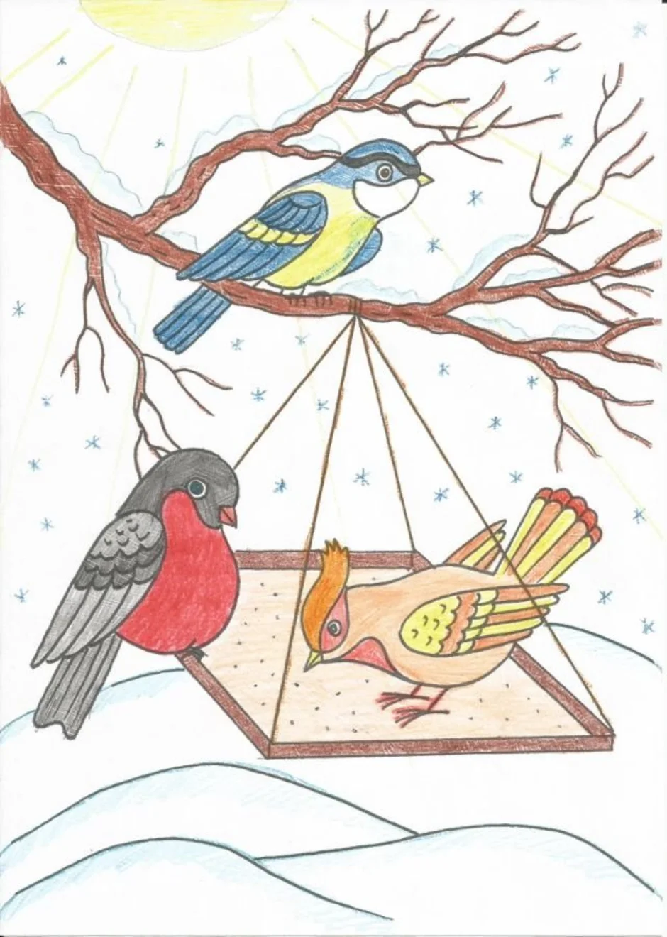 Зимующие птицы рисунок