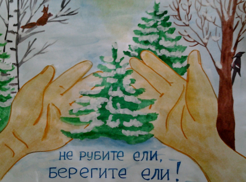 Плакат берегите лес