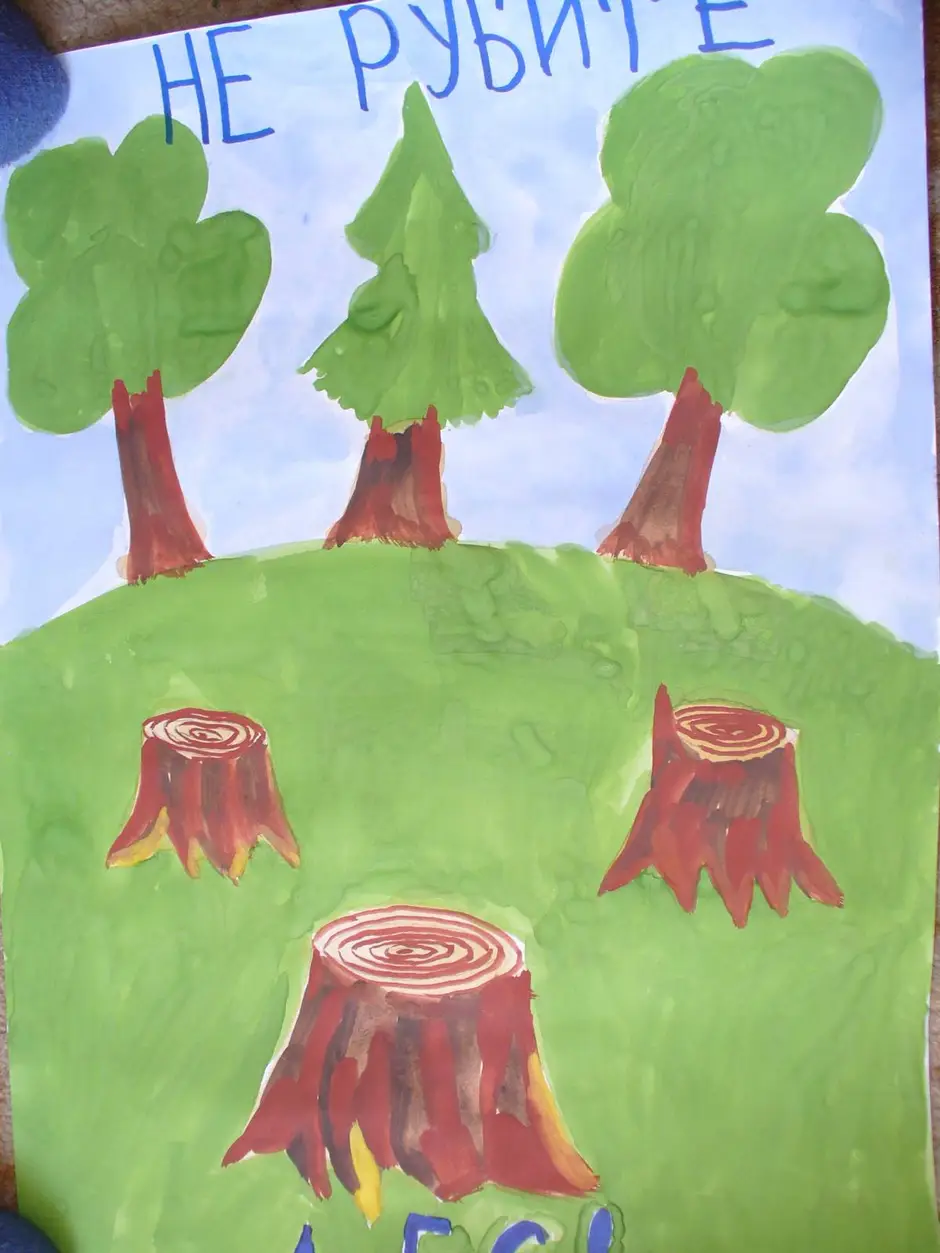 Рисунок на тему сохраним лес