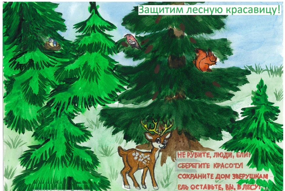 Плакат в защиту елок