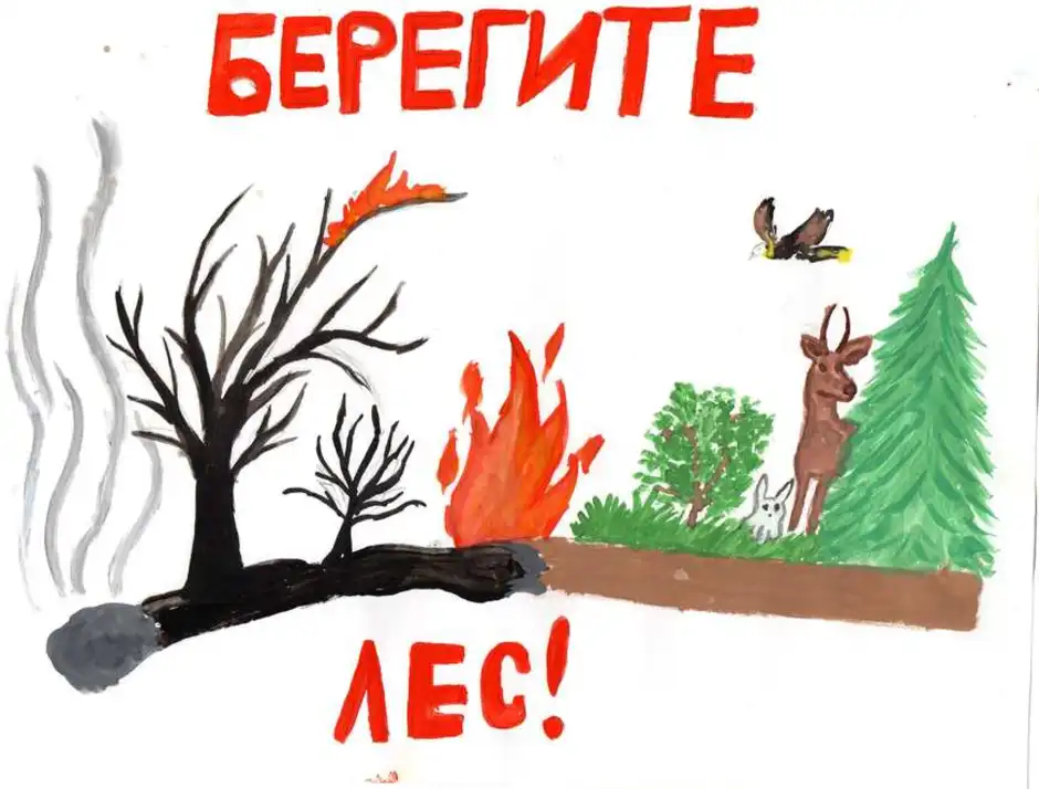 Рисунки на тему берегите лес от пожара