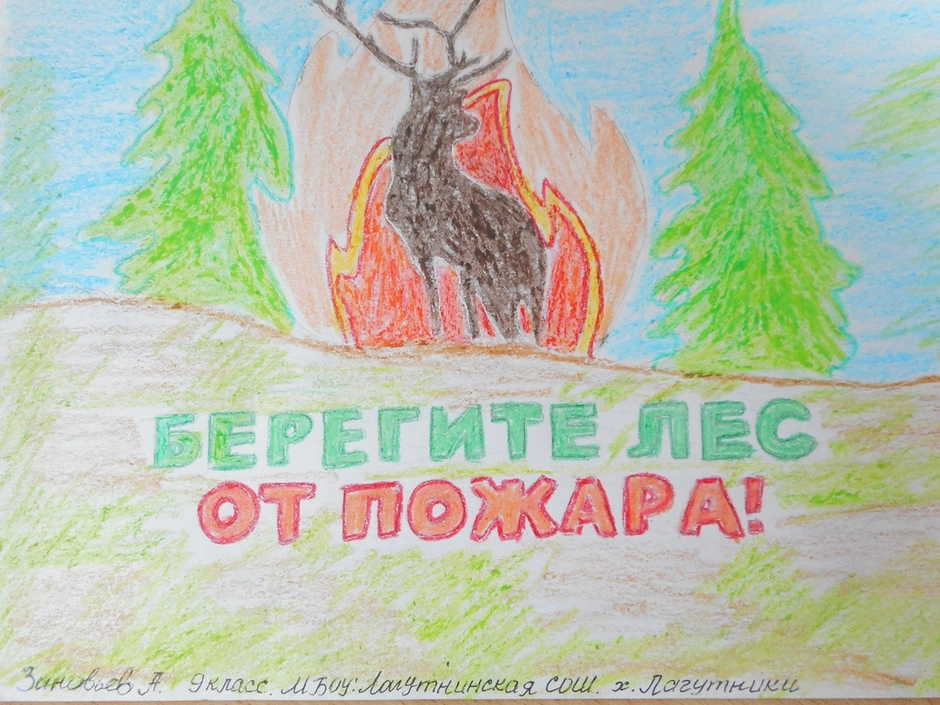 Рисунок берегите лес легко