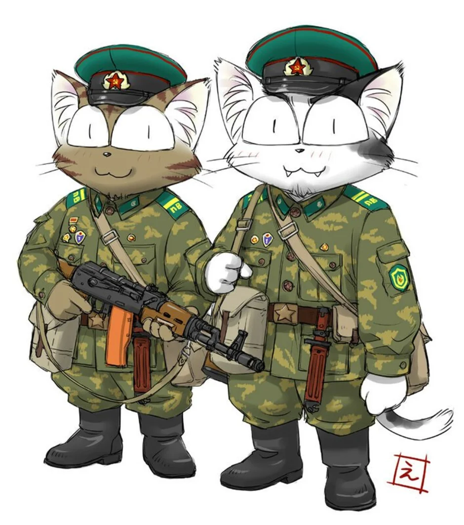 Нарисовать военного кота