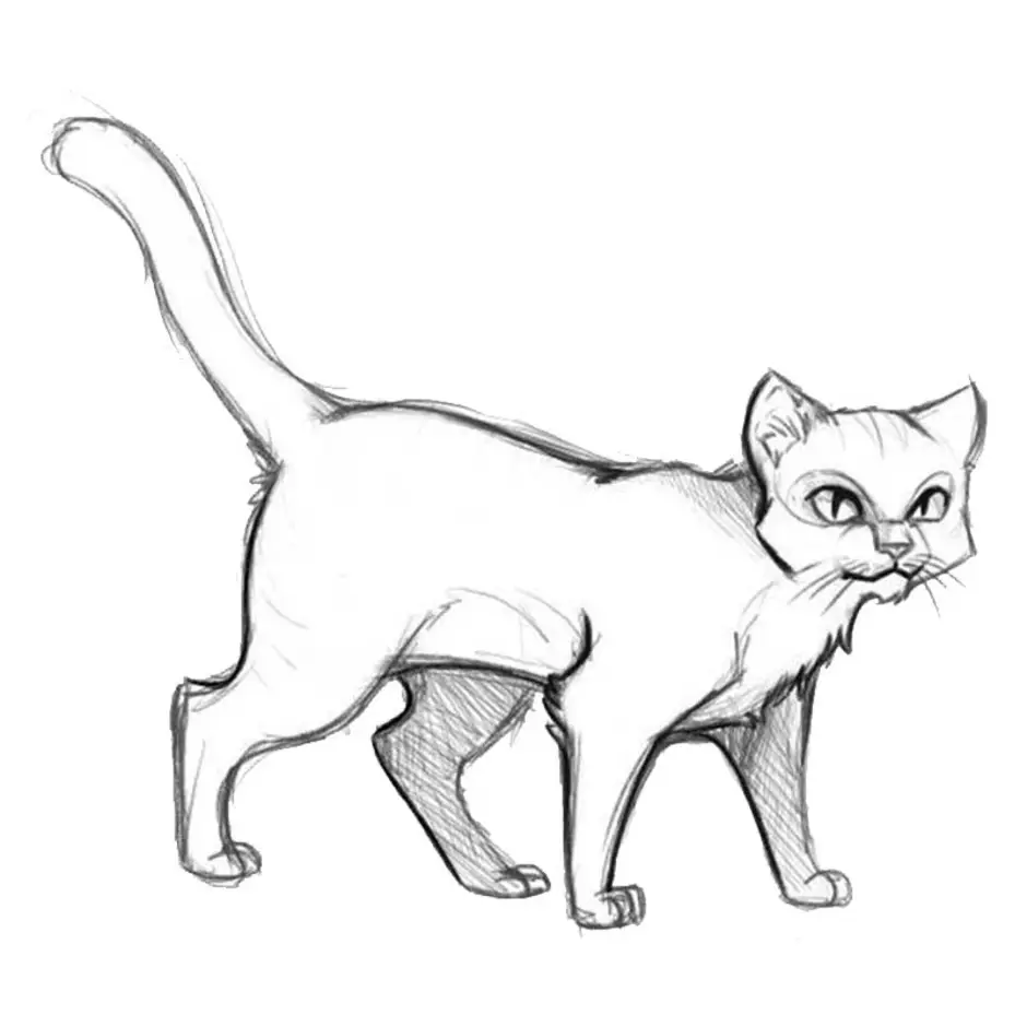 рисунки кота для срисовки картинки