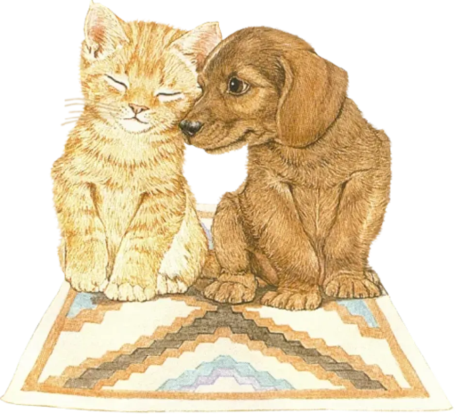 Кошечки собачки рисовать. Картинки кошек и собак. Рисовать кошку и собаку. Собака и кошка иллюстрация. Щенок иллюстрация.