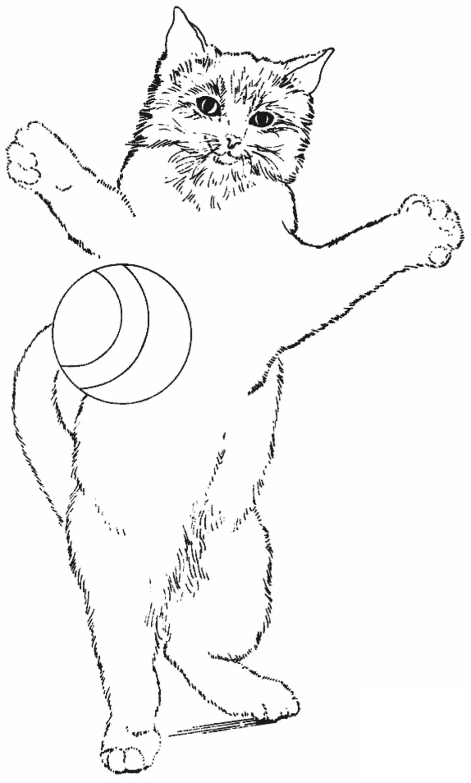Нарисуй кота игра. Раскраска кот. Котенок. Раскраска. Кот рисунок. Раскраска кошка с мячиком.