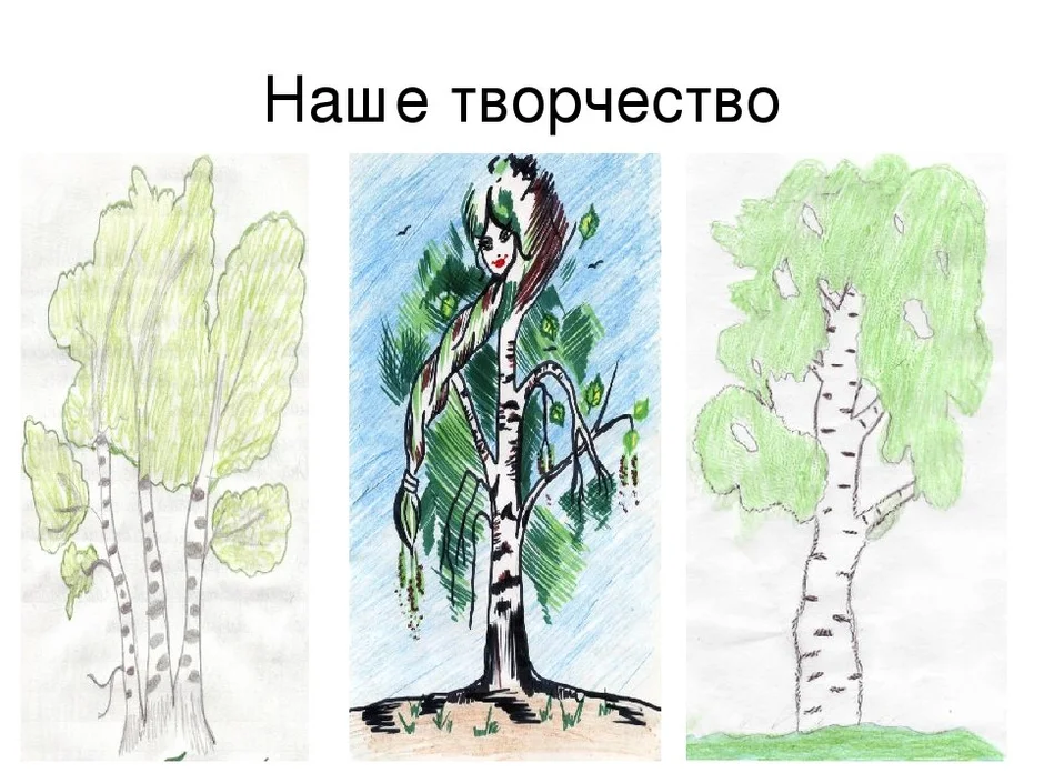 Рисунки березы для детей