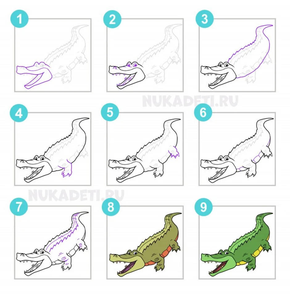 Крокодил рисунок поэтапно