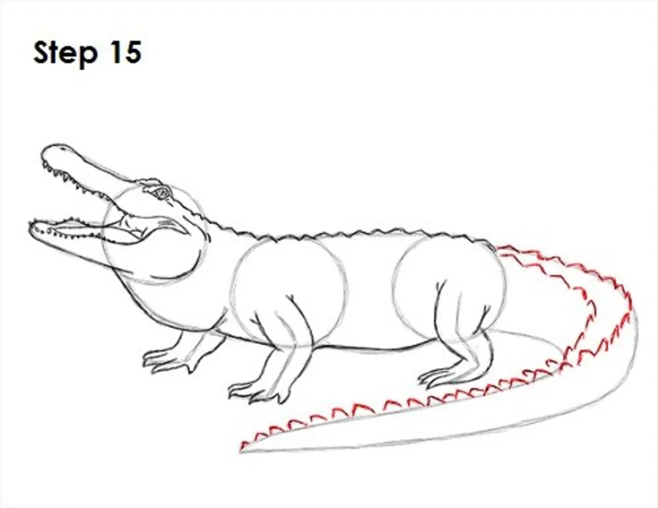Пошагово нарисовать крокодила