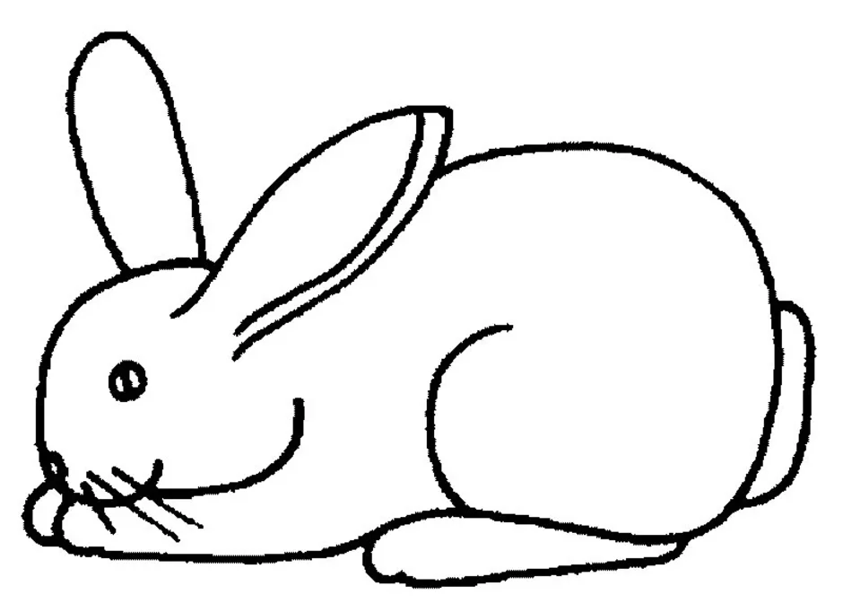 Кролик ребенку 4 лет. Кролик раскраска. Заяц раскраска. Кролик раскраска для детей. Кролик рисунок.