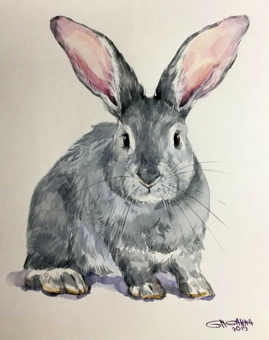 Портрет зайчика. Заяц акварель. Кролик рисунок. Акварельный кролик. Кролик набросок акварелью.