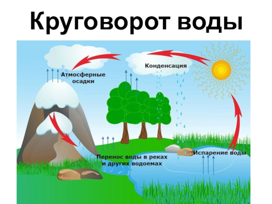 Нарисовать круговорот воды