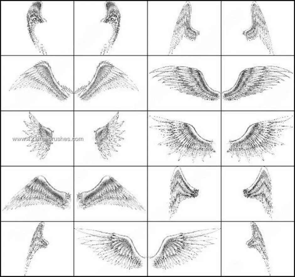 Разные крылья. Крылья на кисти. Реалистичная рисовка крыльев. Крылья ракурсы. Крылья кисти фотошоп.