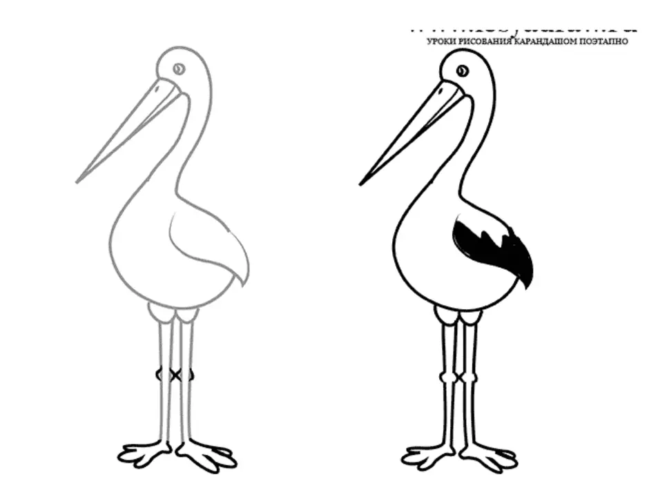 Как нарисовать аиста легко и просто