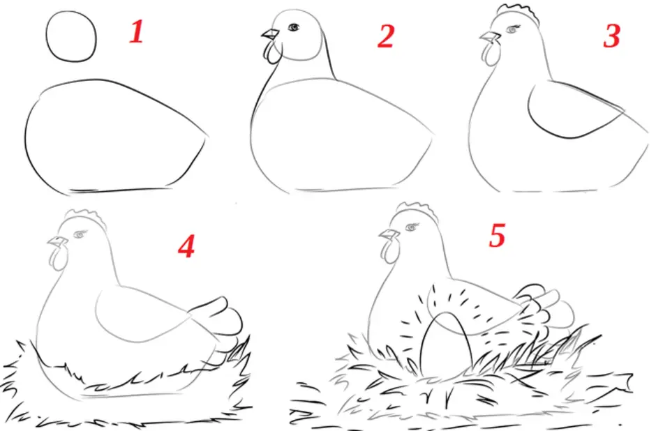 Как нарисовать курицу поэтапно карандашом | вторсырье-м.рф